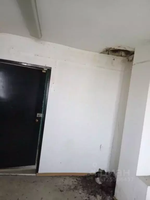 Помещение свободного назначения в Алтайский край, Барнаул ул. ... - Фото 2