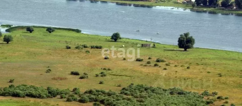 Участок в Астраханская область, Енотаевский район, с. Федоровка  ... - Фото 1