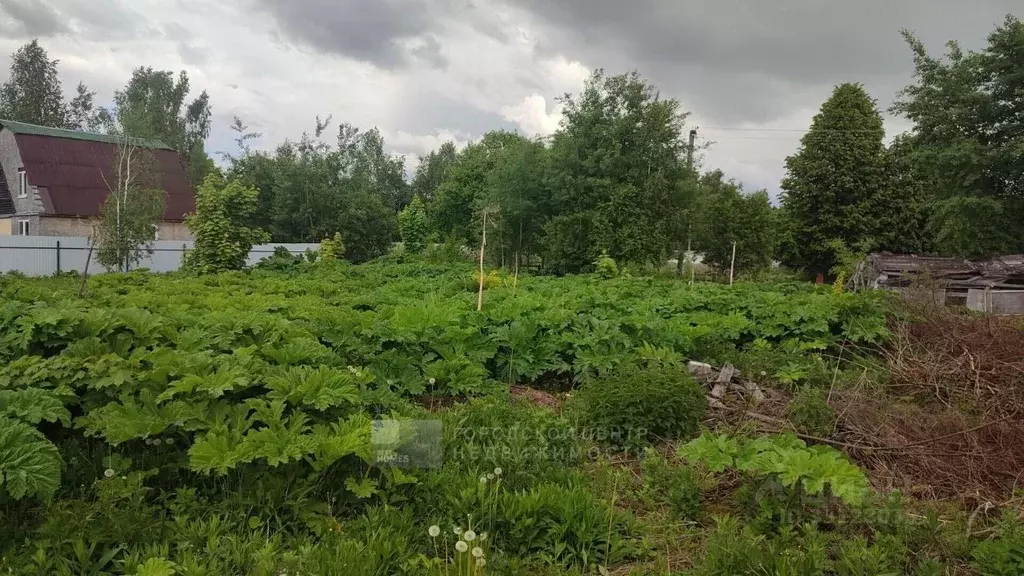 Участок в Московская область, Пушкинский городской округ, с. ... - Фото 2