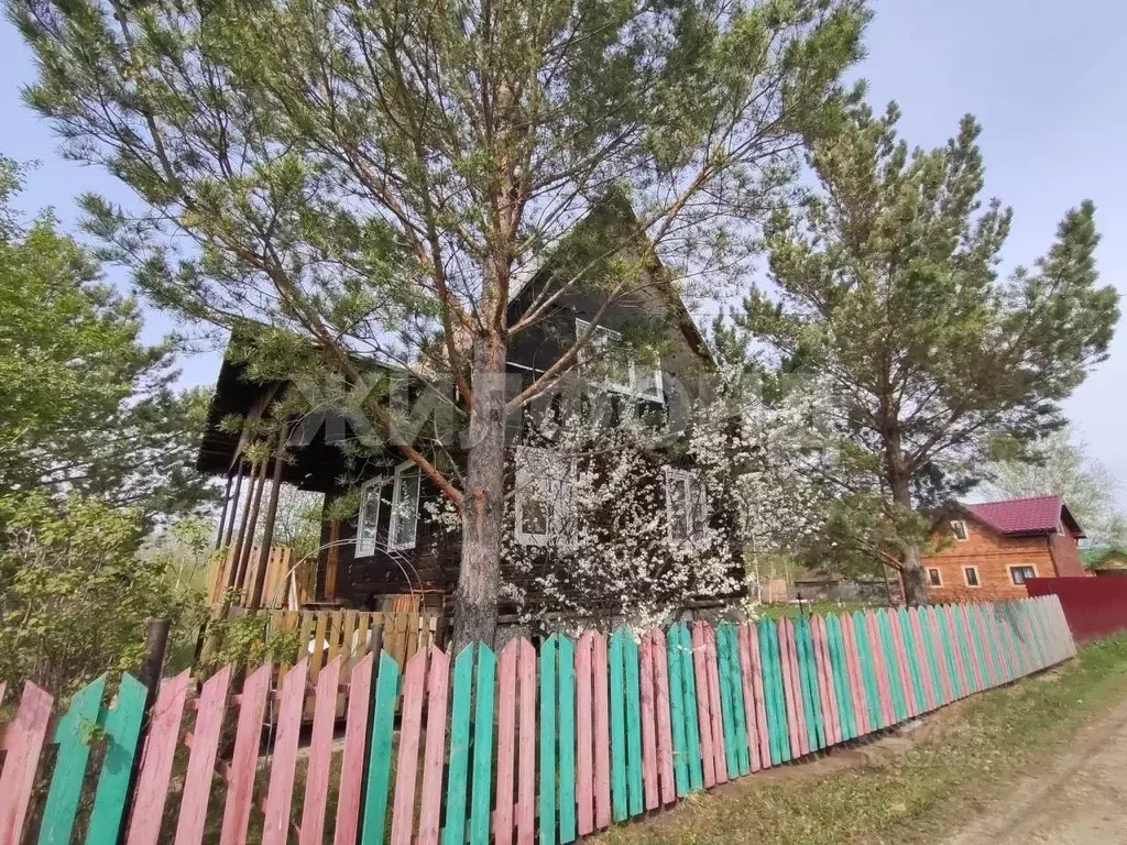 Дом в Новосибирская область, Коченевский район, Огонек СНТ 176 (60 м) - Фото 1