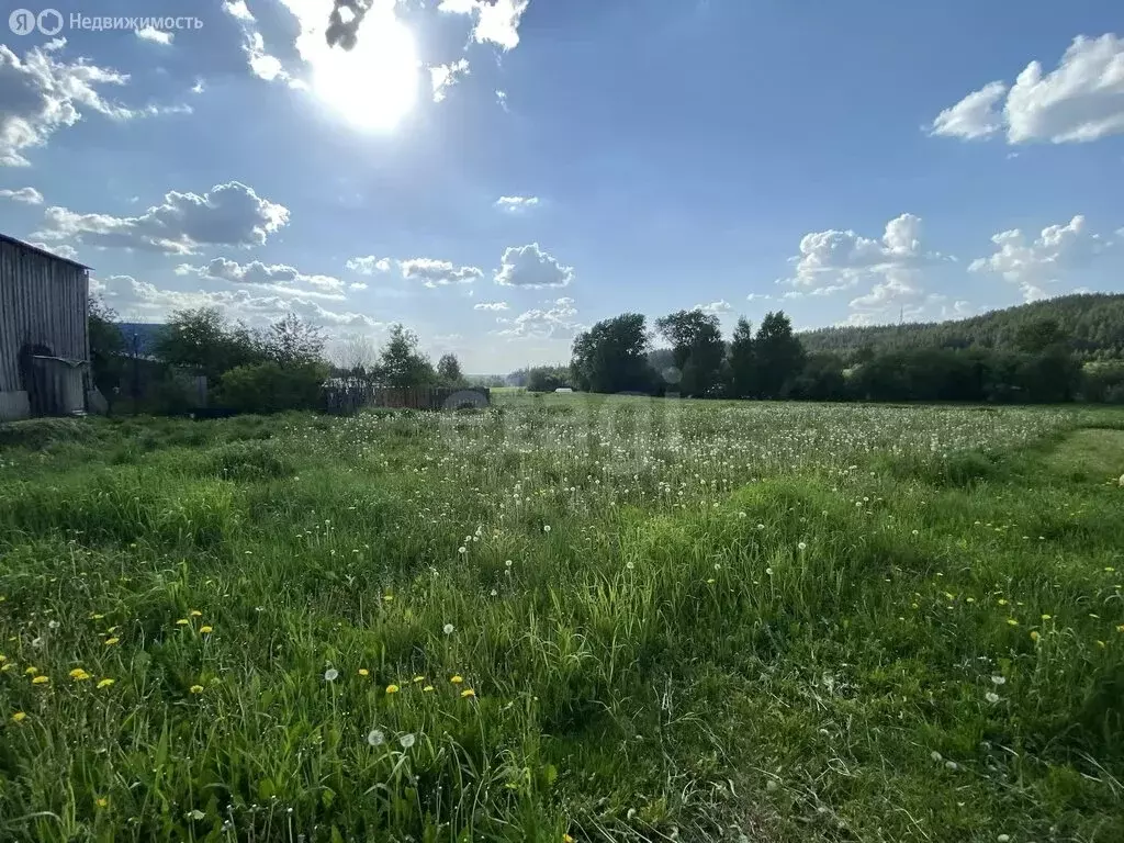 Участок в Можгинский район, деревня Залесный, Детская улица (2394 м) - Фото 1