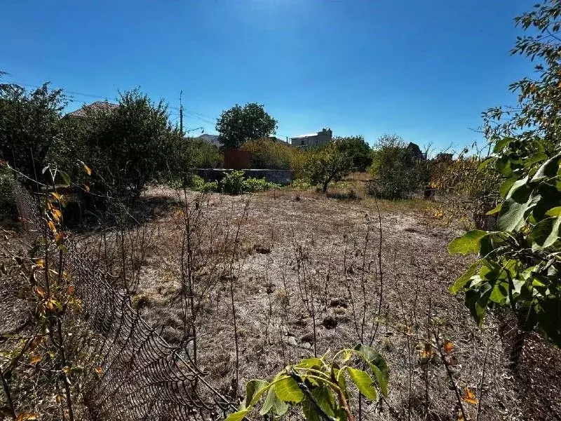 Участок в Крым, Симферопольский район, Добровское с/пос, Якорь СТ 237 ... - Фото 0