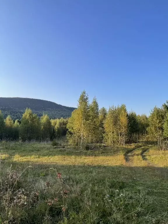 Участок в Кемеровская область, Таштагольский район, Шерегешское ... - Фото 0