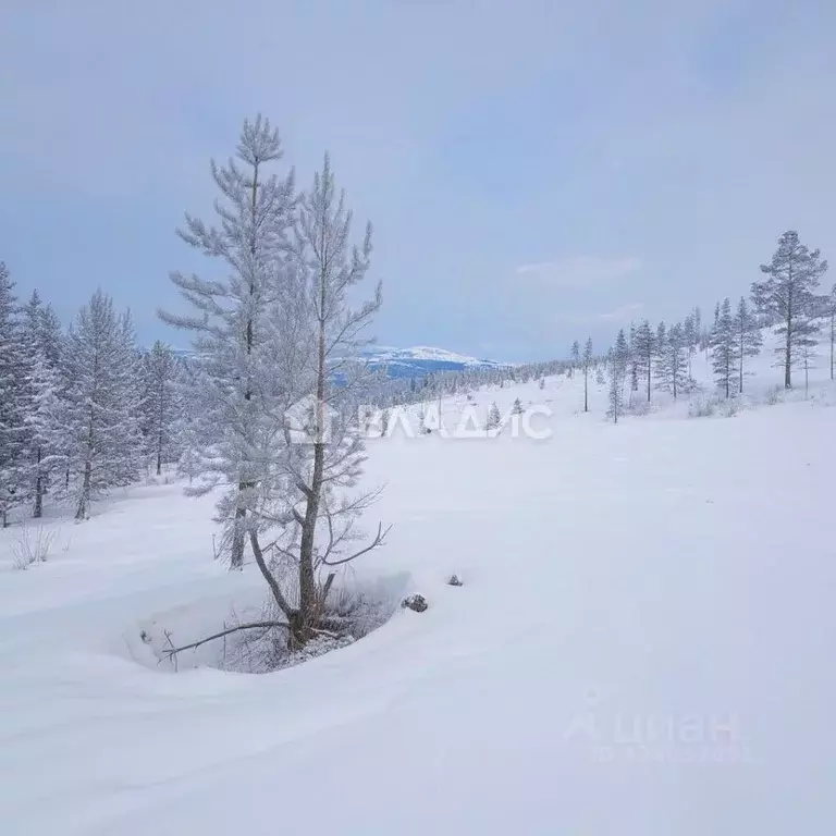 Участок в Бурятия, Иволгинский район, Сотниковское с/пос, с. ... - Фото 1