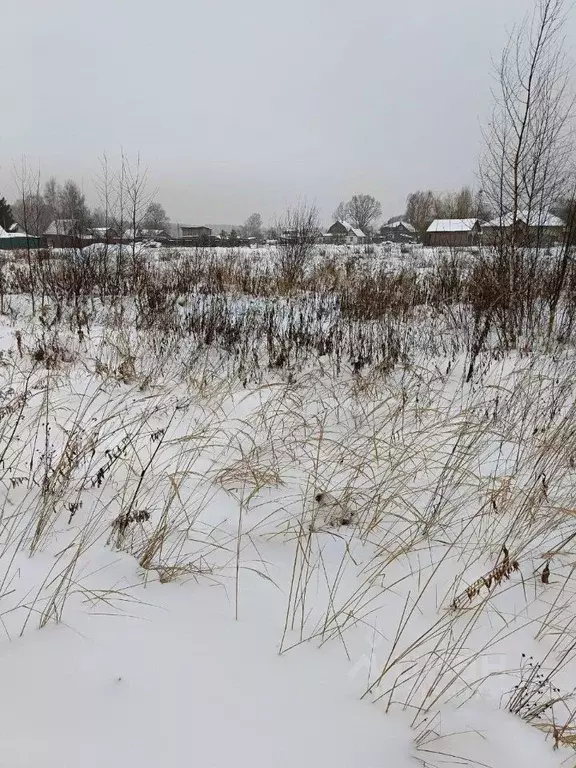 Участок в Московская область, Павлово-Посадский городской округ, д. ... - Фото 0