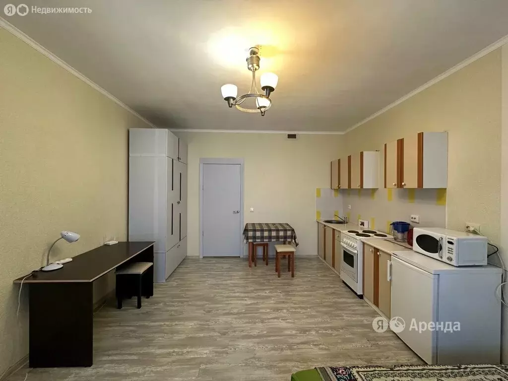 Квартира-студия: Мурино, Охтинская аллея, 4 (28 м) - Фото 1