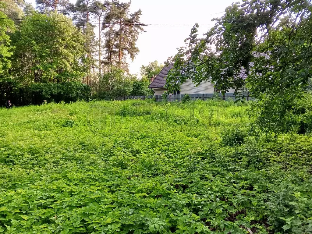 Продается участок в пгт Быково - Фото 1