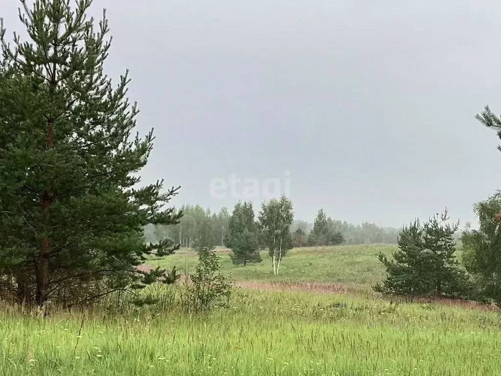 Участок в Смоленская область, Демидовский муниципальный округ, ... - Фото 1