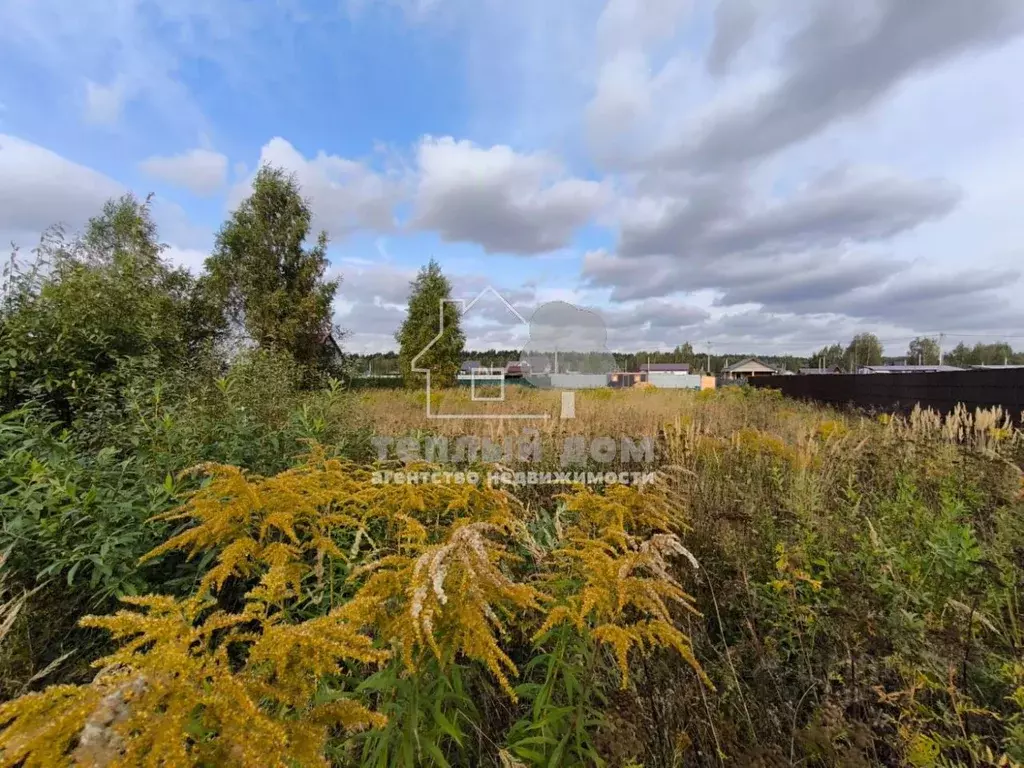 Участок в Московская область, Щелково городской округ, Орловские ... - Фото 1