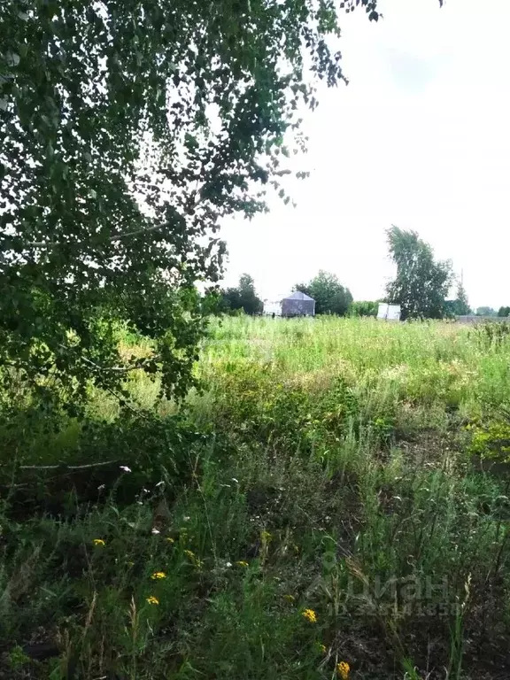 Участок в Омская область, Омск Тарская крепость жилой комплекс (5.0 ... - Фото 1