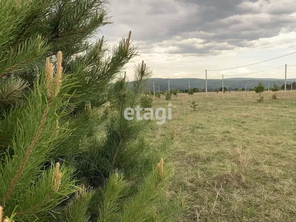 Участок в Красноярский край, Березовский район, Маганский сельсовет, ... - Фото 0