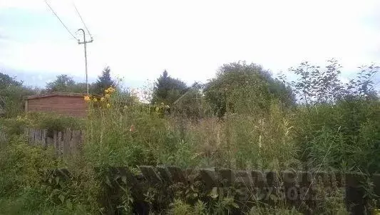 Участок в Новгородская область, Маловишерский район, Бургинское с/пос, ... - Фото 2