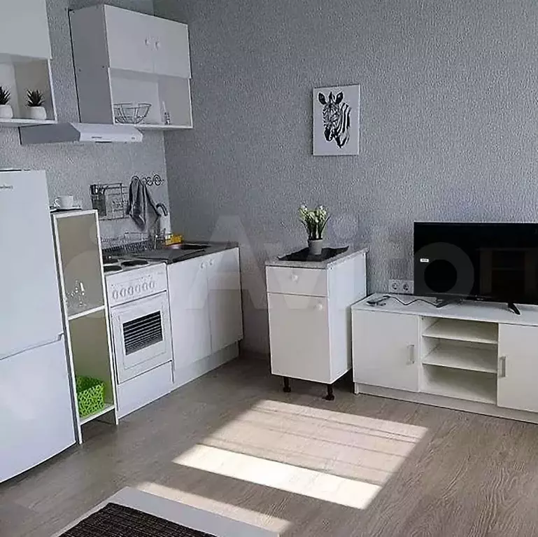 Квартира-студия, 30 м, 9/9 эт. - Фото 1