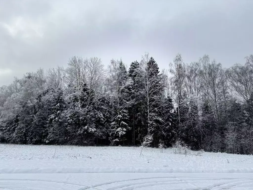 Участок в Московская область, Пушкинский городской округ, Софрино пгт  ... - Фото 2