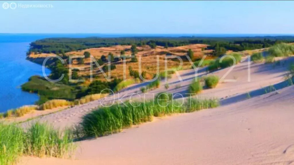 Участок в Зеленоградск, Лазоревая улица, 11Д (10 м) - Фото 2