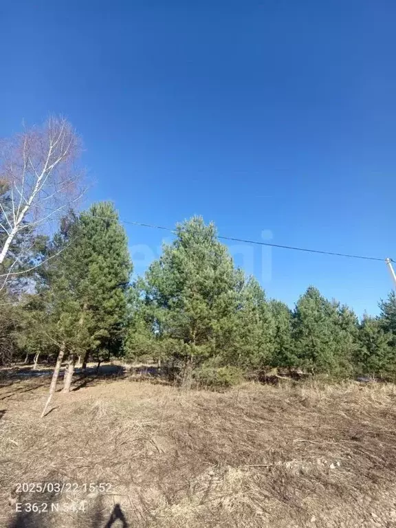 Участок в Калужская область, Перемышльский муниципальный округ, ... - Фото 1