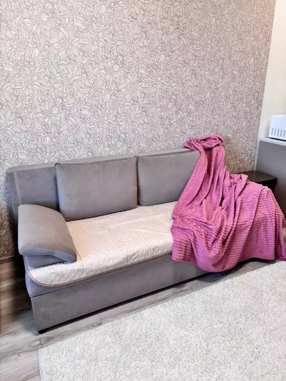 Студия Псковская область, Псков Овсище исторический район, проезд ... - Фото 2