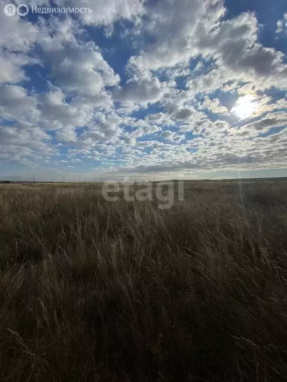 Участок в Алтайский район, село Белый Яр (17.1 м) - Фото 0