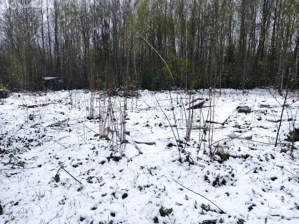 Участок в Кольчугинский район, муниципальное образование ... - Фото 1