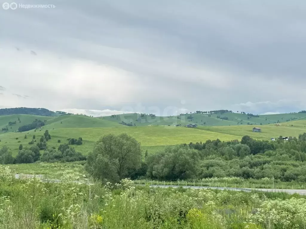 Участок в Алтайский район, ДНТ Жемчужина Алтая, Айская улица (10 м) - Фото 1