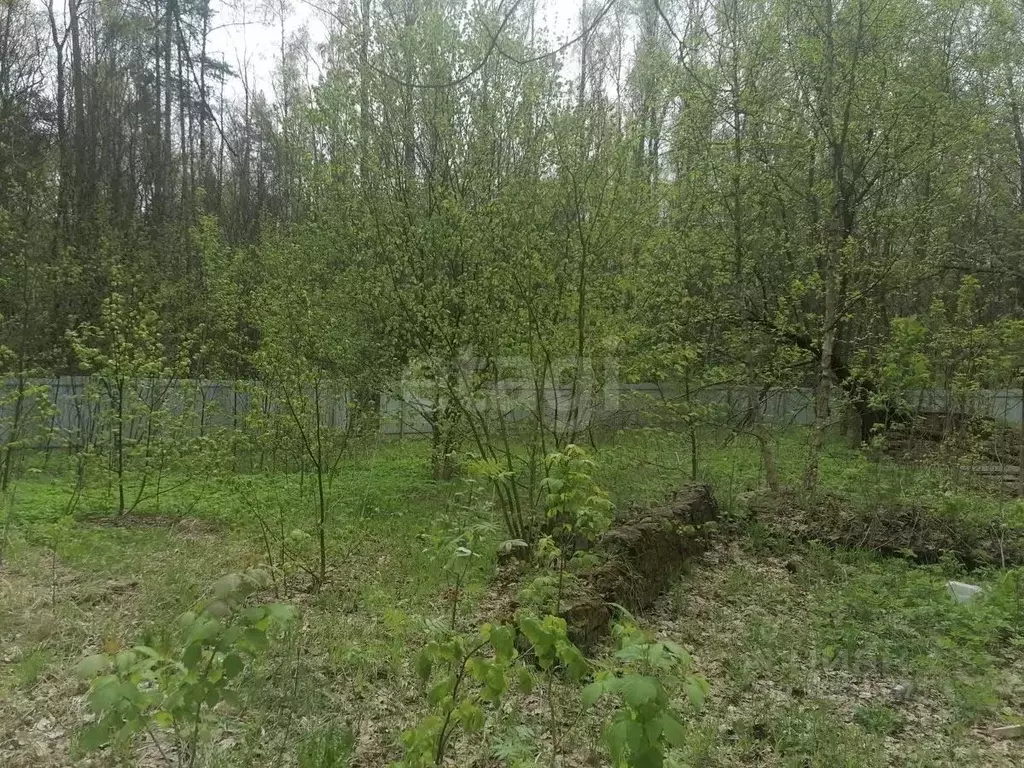 Участок в Московская область, Щелково городской округ, Планета СНТ 59 ... - Фото 2