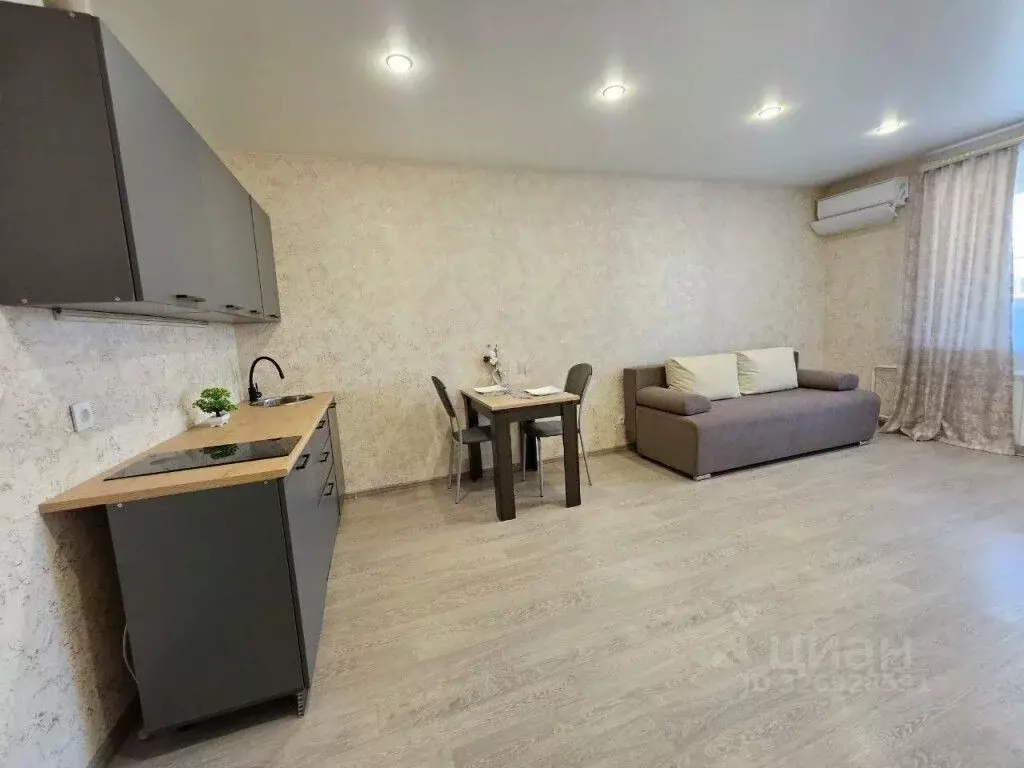 Студия Амурская область, Благовещенский район, с. Чигири Восточная ... - Фото 1