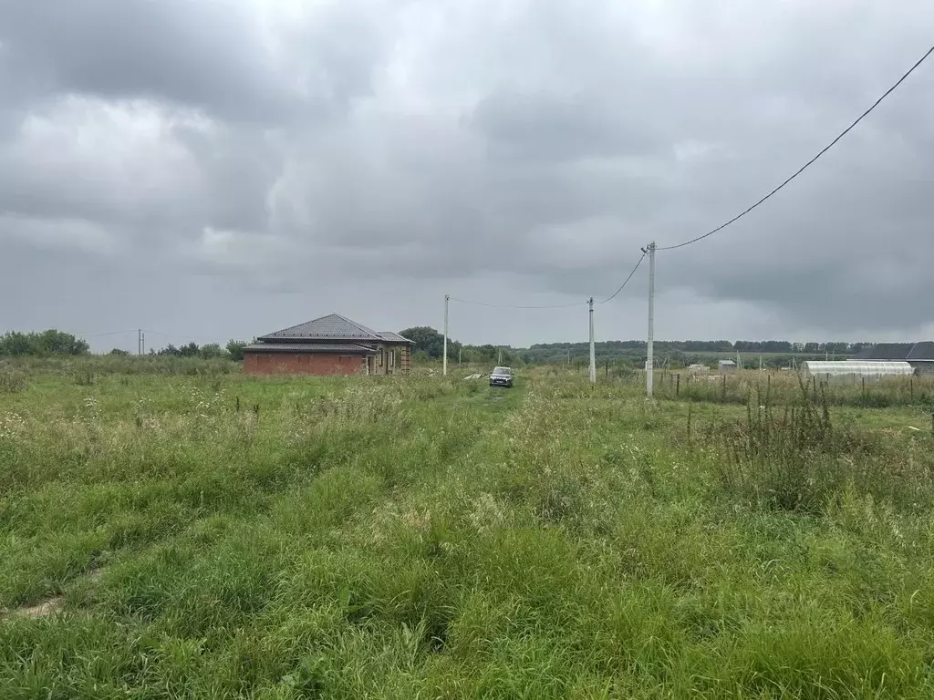 Участок в Татарстан, с. Пестрецы ул. Гаврилова (10.0 сот.) - Фото 2