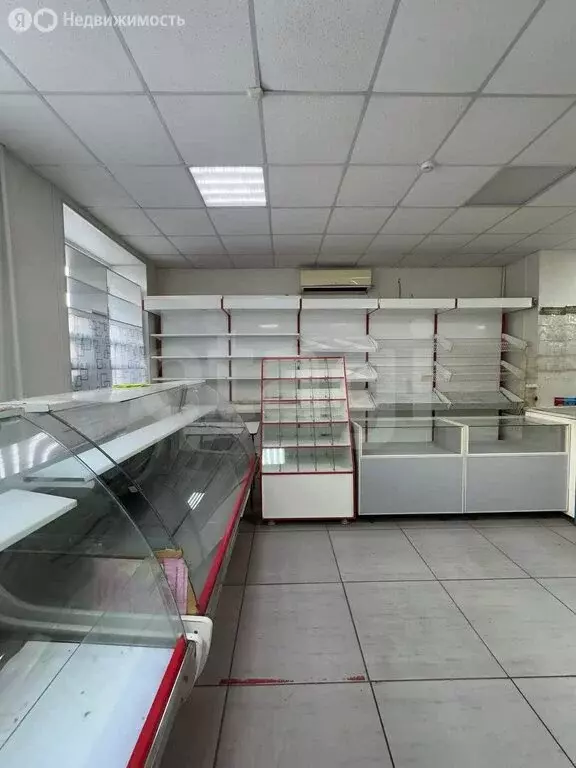 Помещение свободного назначения (79.4 м) - Фото 2