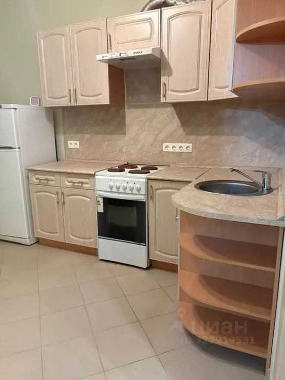 1-к кв. Московская область, Балашиха Новое Павлино мкр, ул. Троицкая, ... - Фото 2