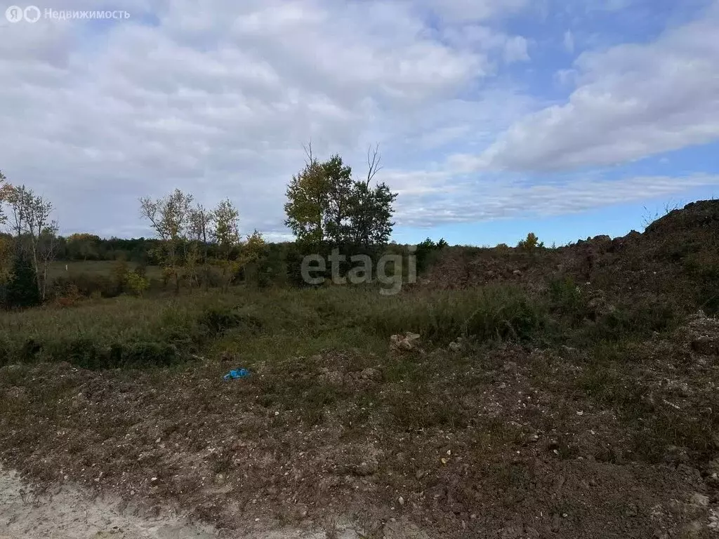 Участок в Амурская область, городской округ Благовещенск, посёлок ... - Фото 1