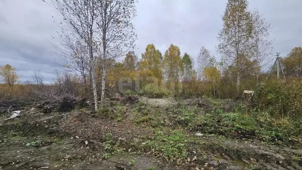Участок в Тюменская область, Нижнетавдинский муниципальный округ, ... - Фото 1