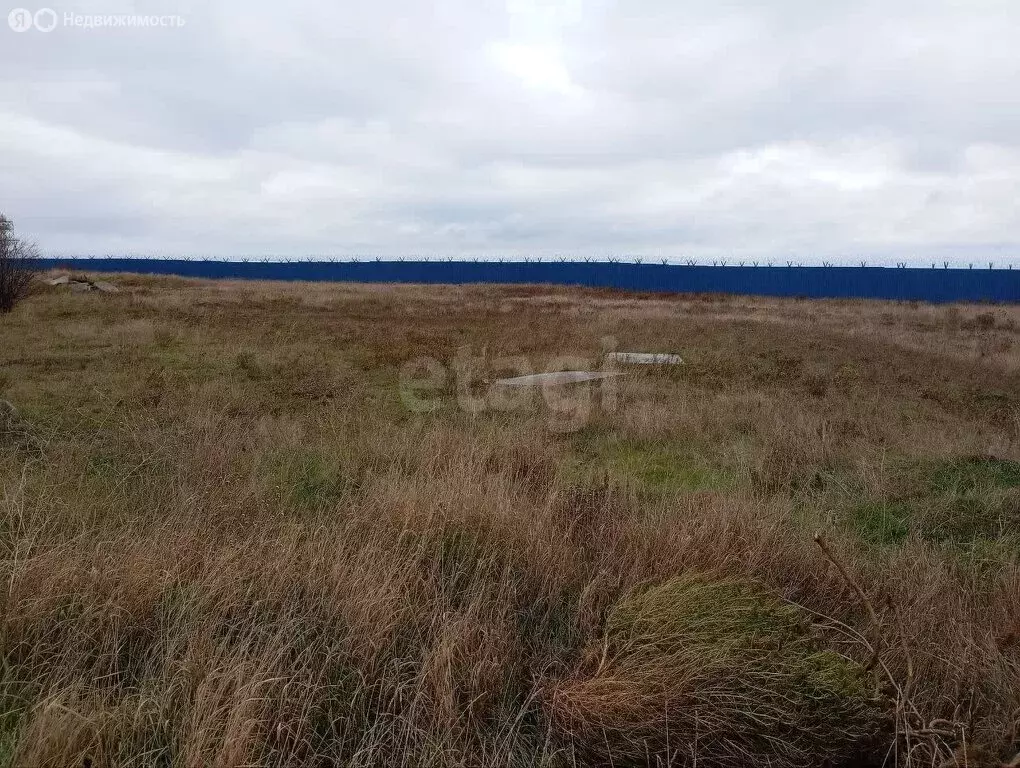 Участок в Приморский, Белогорская улица, 14 (5.43 м) - Фото 1