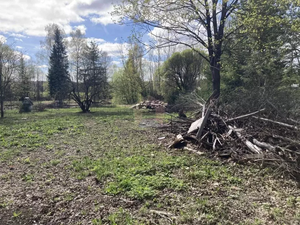 Участок в Московская область, Пушкинский городской округ, д. Горенки  ... - Фото 1