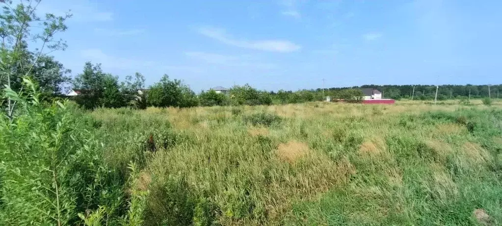 Участок в Сахалинская область, Анива ул. Весенняя (10.0 сот.) - Фото 2