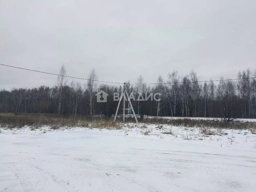 Участок в Нижегородская область, с. Безводное  (10.0 сот.) - Фото 1