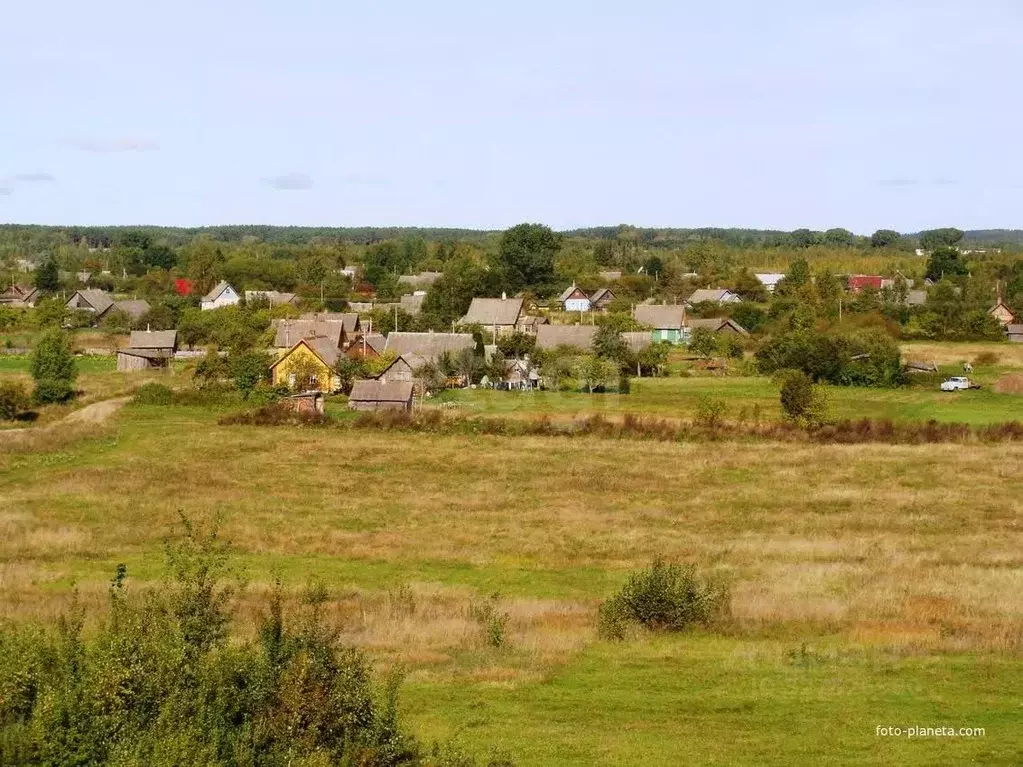 Участок в Псковская область, Печорский муниципальный округ, д. Моложва ... - Фото 1