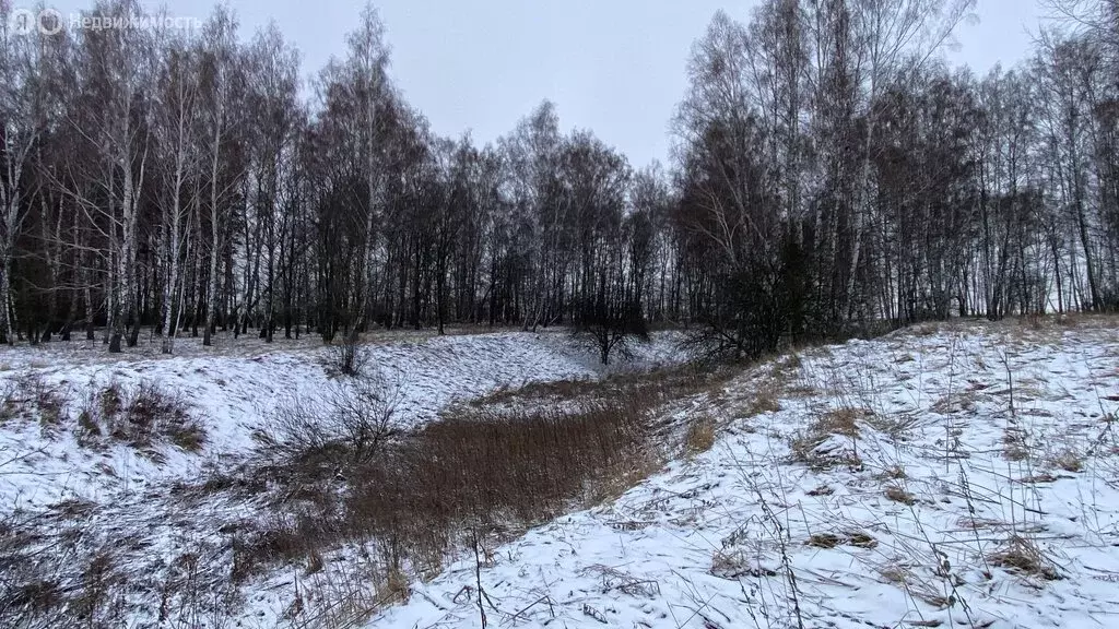 Участок в сельское поселение Иваньковское (10 м) - Фото 0