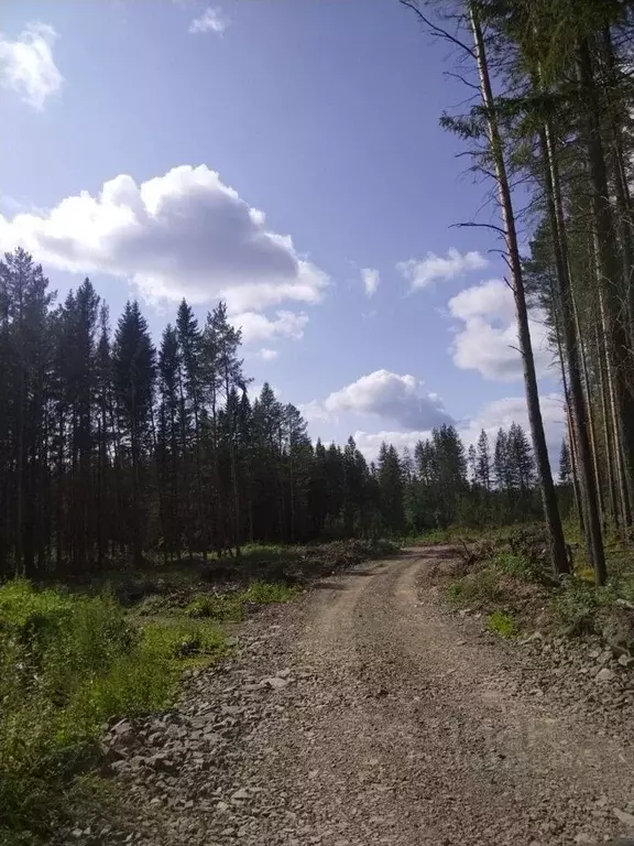 Участок в Свердловская область, Ревда ул. Советских Космонавтов (10.0 ... - Фото 1