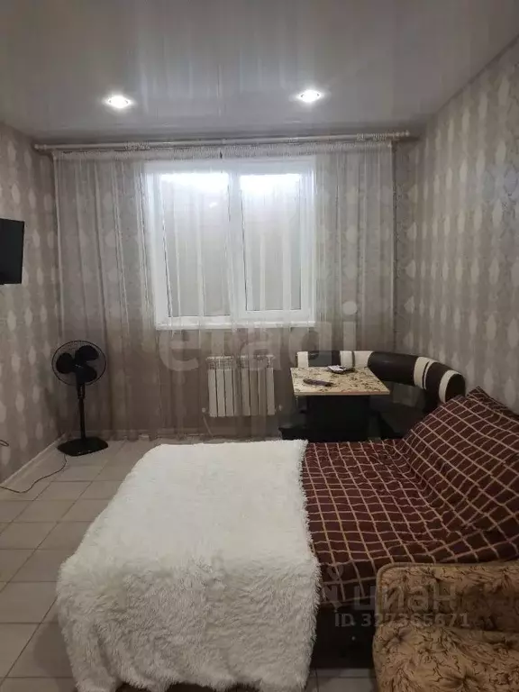 Студия Краснодарский край, Анапа Владимирская ул., 154к4 (26.0 м) - Фото 1