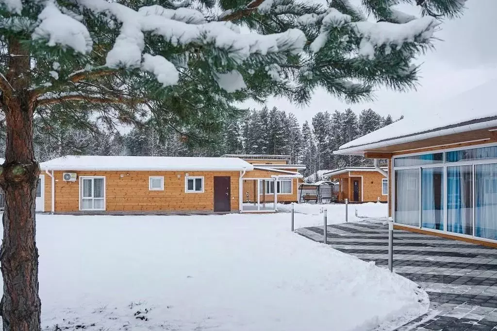 Комната Алтай, Майминский район, с. Озерное ул. Юбилейная, 26 (10.0 м) - Фото 0