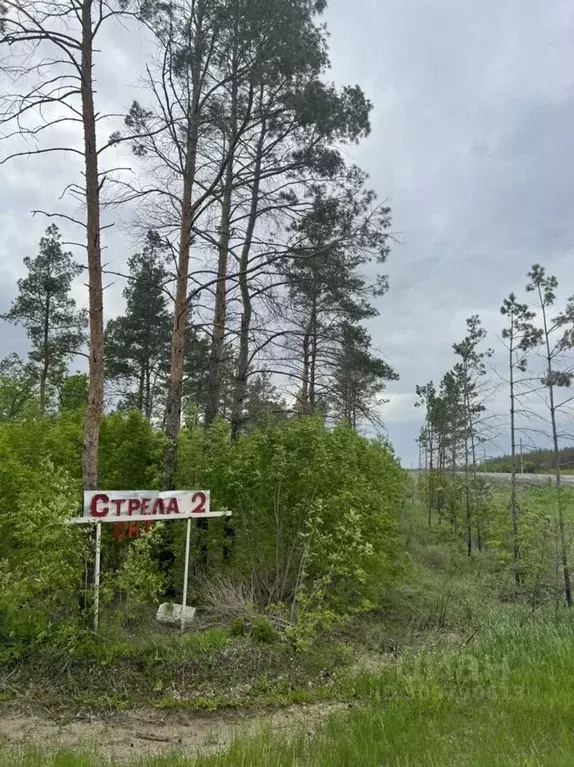 Участок в Оренбургская область, Оренбургский район, Красноуральский ... - Фото 0