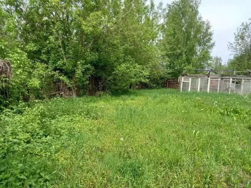 Дом в Брянская область, Брянск 3 (35 м) - Фото 2