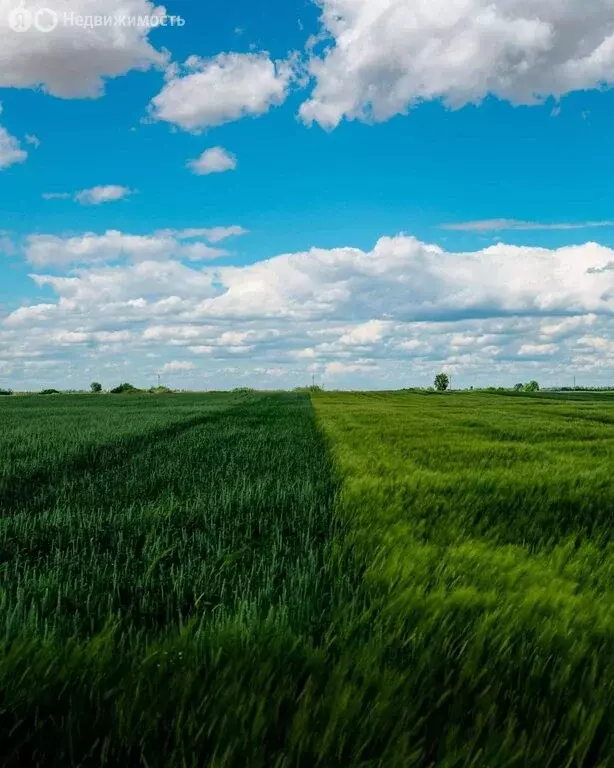 Участок в Краснодарский край, муниципальный округ Анапа, село ... - Фото 1
