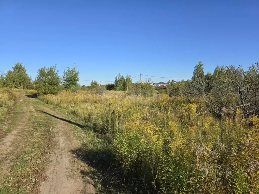 Участок в Брянская область, Брянский район, Добрунское с/пос, д. ... - Фото 2