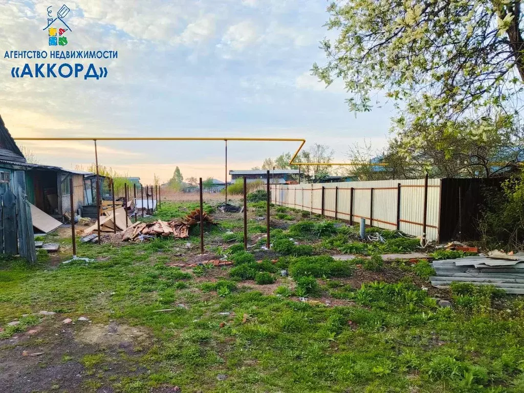 Участок в Алтайский край, Барнаул городской округ, с. Гоньба ул. ... - Фото 1