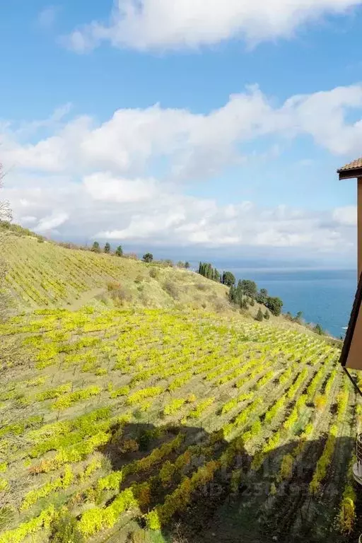 2-к кв. Крым, Алушта муниципальный округ, с. Лазурное ул. ... - Фото 2