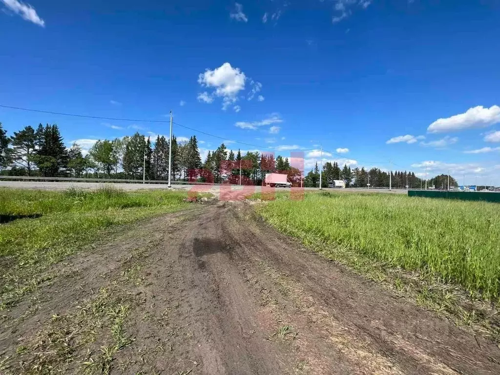 Помещение свободного назначения в Тюменская область, Тюменский ... - Фото 2