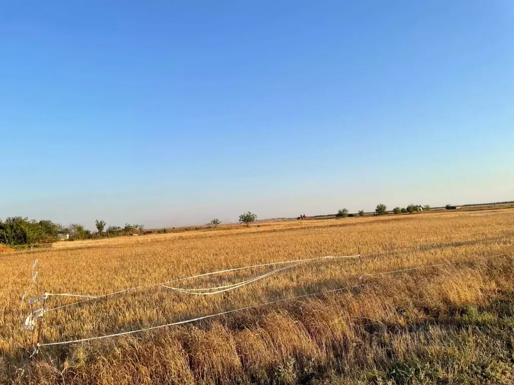 Участок в Краснодарский край, Ейский район, с. Кухаривка ... - Фото 1