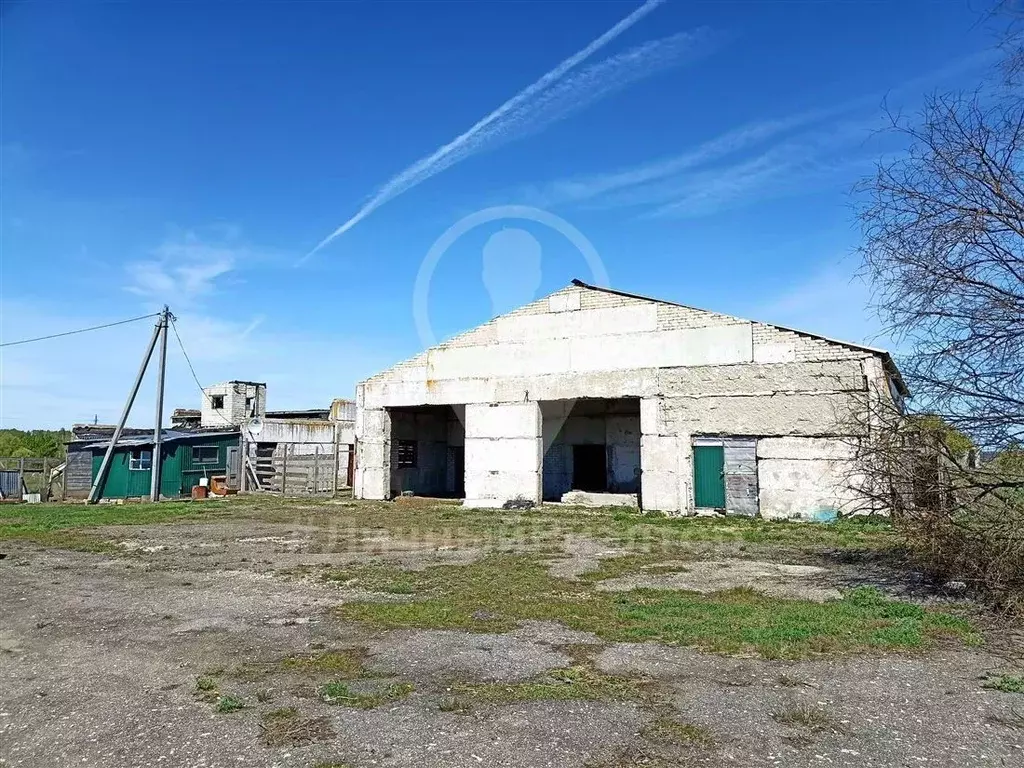 Помещение свободного назначения в Рязанская область, Скопинский ... - Фото 1