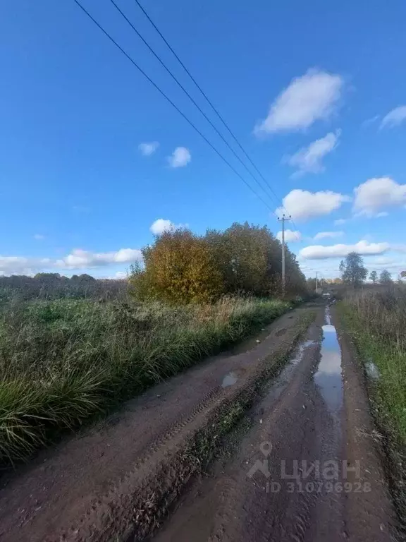 Участок в Ленинградская область, Ломоносовский район, Лопухинское ... - Фото 0